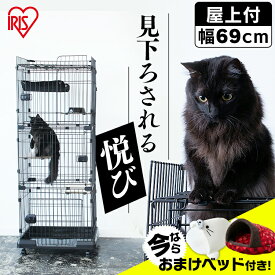 キャットケージ ルーフキャットケージ RFC-704 アイアンブラック送料無料 キャットケージ キャットゲージ 猫ケージ ゲージ 猫用ケージ ハウス 室内飼い 猫 ネコ ねこ キャット 猫用 ペットケージ ペットケージ アイリスオーヤマ[2606SE]