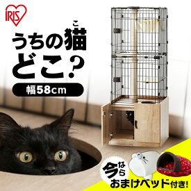 キャットランドケージ キャットゲージ 隠れ家キャットランドケージ PKC-600 マットブラウン送料無料 猫 ケージ ペット用品 ハウス 室内飼い 猫ケージ 猫ゲージ ねこケージ ねこゲージ ネコケージ アイリスオーヤマ[2606SE]