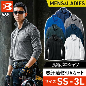 ƕ ƒ o[g |Vc 665ƕ ƒ [NEFA [NEGA jtH[ |Vc  Vc  Le[v z UVJbg o[g burtle yTC