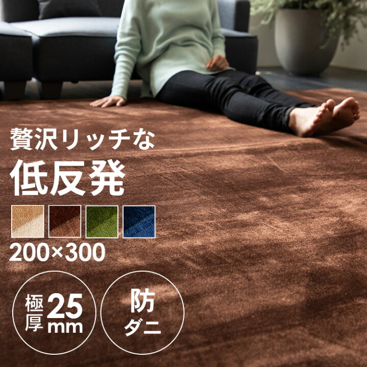 楽天市場 ラグ カーペット 厚手 0 300 低反発ラグ ラグ 北欧 ラグ カーペット ラグマット おしゃれ 絨毯 マット ベージュ ブラウン グリーン ネイビー 新生活 新生活応援 引っ越し 引っこし 一人暮らし 新居 D ゆにでのこづち