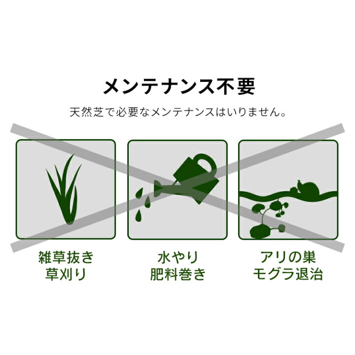 楽天市場】≪最大1,000円offクーポンあります○24日≫人工芝 ロール アイリスオーヤマ 1m×5m【5平米】 芝丈30mm IP-3015 国産 人工芝 お庭 庭 芝生 ガーデン 簡単 ペット リアル人工芝 国産人工芝 人工芝生 芝生マット 100cm×500cm 芝丈3cm 人工芝ロール ロールタイプ[10 ... 楽天市場】≪最大1,000円offクーポンあります○24日≫人工芝 ロール アイリスオーヤマ 1m×5m【5平米】 芝丈30mm IP-3015 国産 人工芝 お庭 庭 芝生 ガーデン 簡単 ペット リアル人工芝 国産人工芝 人工芝生 芝生マット 100cm×500cm 芝丈3cm 人工芝ロール ロールタイプ[10 ...
