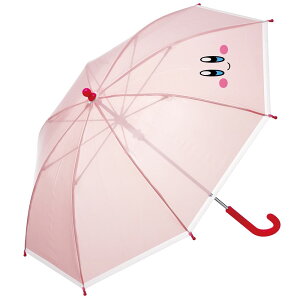 qpP AG LN^[ qǂprj[P45cm UBV45P qp AG LN^[ ʊwp XP[^[ AG J[Y ~bL[}EX ܂̃v[ ̃J[rB