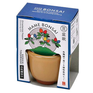 HACO MAME ~͍͔|Zbg GD-96501 GD-96502 GD-96504͔|Lbg ͔|Zbg BONSAI V| ~ SEISHIN  蕨 킩Ă  ԏ ܐFƂ炵