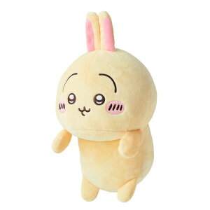 ӂ΂邸  VRT42897ӂ΂邸  ʂ pT|[g fXN[N  h[Y  n`  yBz