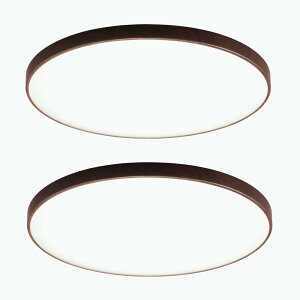 (2Zbg)ؖڒی`V[O V[O 6 ACL-6DMR ACL-6DUR _[NuE i` ؖڒی`V[O 6  ؖڒ ی`V[O V[OCg LED Cg V[