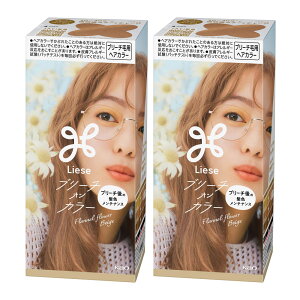 �y2�Z�b�g�z�u���[�` �� ���̖� ���[�[ �u���[�`�I���J���[ �ԉ� ���[�[ �Z���t�J���[ �w�A�J���[ �p�X�e���J���[ �F�����΍� �A ��A���J������ �g���[�g�����g�� Liese R�I�����W �t��