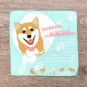 ČObY nJ` ^I  BIG  Ԏ   v[g 蕨 O A LIFE WITH DOG 󒍐Yi