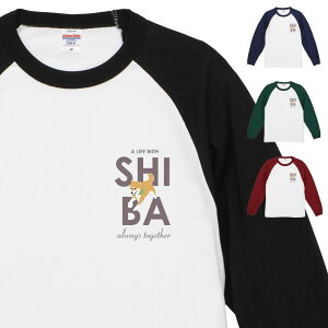 ČObY  O Vc SHIBA S Ԏ   Y fB[X Vv v[g Mtg  󒍐Yi