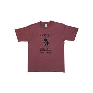 ČObY  T Vc vg  WANTED z ێ  Y fB[X Vv v[g Mtg 