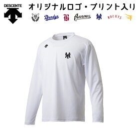 デサント オーダー オリジナル ロゴ マーク 付き 長袖シャツ Tシャツ メンズ チーム クラブ 部活 学生 学校 企業 団体 ウェア 5801LB L-SHIRT +MARK 受注生産品