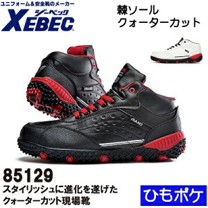 yW[xbNESEƌCz85129EZteBV[Y