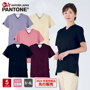 yWEBs̔zFOLK PANTONE 7099SC XNu  fB[X p ×pXNu  fBJ NjbN f^   킢 tH[N