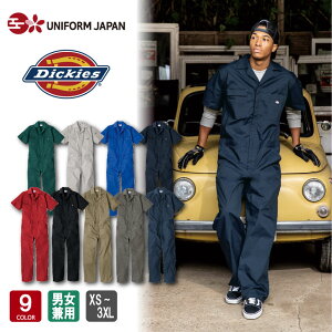 fBbL[Y Dickies CgT/CXgb` ciM D-6702  ciM t ėp jp S9F XS-3XL _ _ _ Ԑm R[RXM