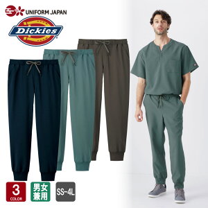 XNupc fBbL[Y 5031SC Dickies WK[pc  Y fB[X jp ×pXNu  fBJ NjbN f^   tH[N