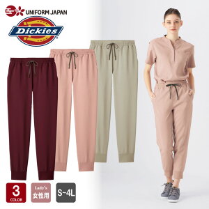 XNupc fBbL[Y 6019SC Dickies WK[pc  fB[X ×pXNu  fBJ NjbN f^   tH[N