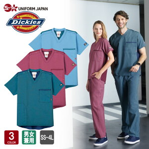 XNu fBbL[Y CK704 Dickies fj  Y fB[X jp ×pXNu  fBJ NjbN f^   tH[N