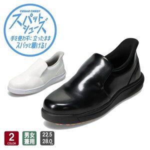 XpbgV[Y ~[p RbNV[Y CC-5002 Y fB[X jp 2E ϖ c RۉH g킸ɗ C V[Y CEDAR CREST