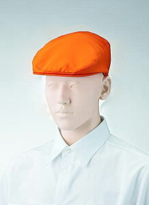 �n���`���O APK485 �X�q ���x���g���� �ސF�h�~���H ���j�t�H�[�� ���X�g���� �J�t�F ���H ���� KAZEN SERVICE