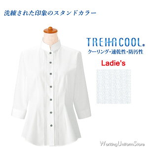 HX fB[Xs^bNVc 24224 {j t[hT[rX jtH[