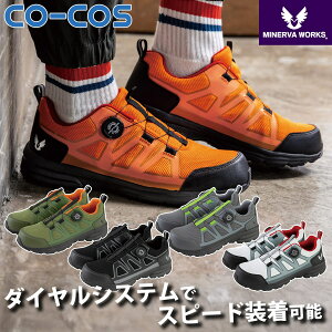 R[RX tC[N_CZ[teB[Xj[J[4.0 MW-3110 _CVXe y vX`bNc bVfރAbp[ ^ z CO-COS jtH[ ƕ ƒ R[RX