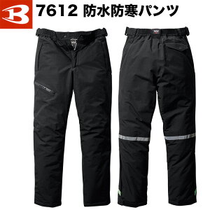 h 傫TCY ƒ  h hhpc ϋv A~tB BURTLE 7612 4L~5L