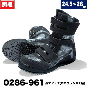 Ј 0286-961 SC }WbN(zOJ) |Sc u[c 2021N Ј V 2021N Ɨp H~   Y