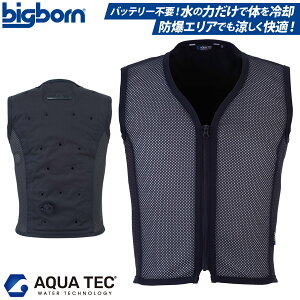 AQUA TEC ANAEH[^[xXgitgbVjAT401 ڐG⊴ cRۉH TChXgb` t ƕ ƒ MǑ΍ bigborn rbO{[
