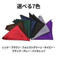 日本製三角巾大人用バンダナメール便対応エプロン無地