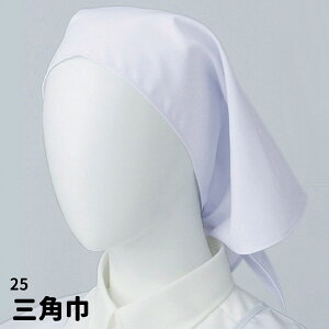 Servo T[H Op jtH[  25 [։3