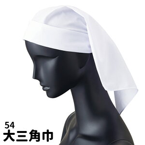 Servo T[H Op jtH[  54 [։3