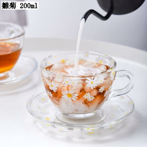 ϔMKX Jbv\[T[ e 200ml  킢 R[q[Jbv eB[Jbv tX qp Mtg v[g