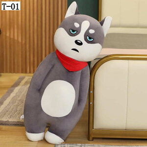  ʂ l`   NbV O YQ  _炩  ӂӂ  Q܂ @\ w Q xbh[ 50CM av[g wj Əj