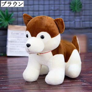   30CM 킢 A NbV ONV  ʂ  ᔽ  Q CeA 􂦂  YQ _炩  ԓ Q Mtg  4
