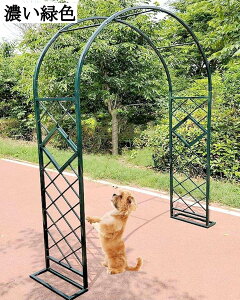 x[XtA[` K[fA[` KтȂ 傫 [YA[` gX K[fjO ȒPg p[S ACAA[`