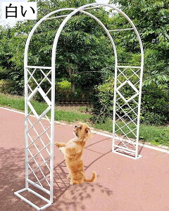 x[XtA[` K[fA[` KтȂ 傫 [YA[` gX K[fjO ȒPg p[S ACAA[`