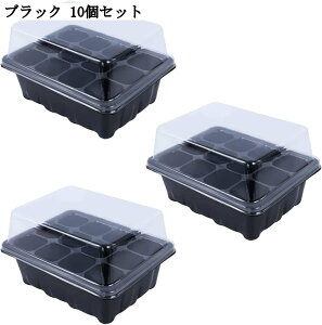 c|bg cgC 12 10Zbg ܂ ƒ؉ |pi c A  v^[