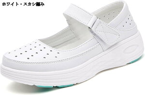 i[XV[Y D^ fB[X xN  傫TCY 2way^Cv ʋC h EȒP Ȑ hL ԗd Α΍ Cy y ʋ Ōtp