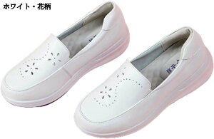 i[XV[Y Xb| Ō  fB[X 傫TCY ₷ ϖ ʋC h NbV hL r ʋ ԗd n D^ g tH