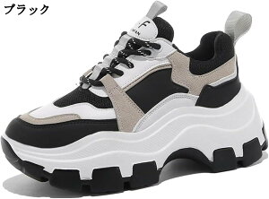 _bhXj[J[ fB[X r  ₷ 7cmq[ jOV[Y ʊw ʋ  JWA EH[LOV[Y