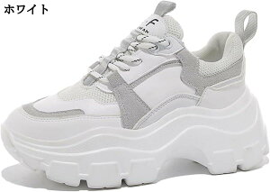 _bhXj[J[ fB[X r  ₷ 7cmq[ jOV[Y ʊw ʋ  JWA EH[LOV[Y