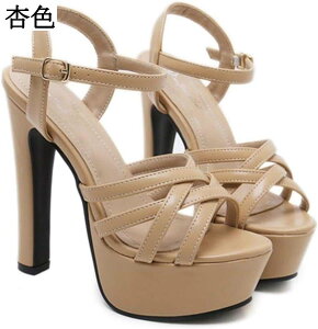 fB[X T_ 14cmq[ nCq[  ₷ Xg[ OfBG[^[ Xgbv  q[ p[eB[   l ₷ 