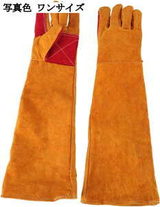 ϔM O[u 60CM Ɨp v   n 2w