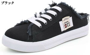 t y ƂȂXj[J[ fB[X ₷ [XAbv LoX NbOT_ ʋC  IȒE SC ubN 24cm