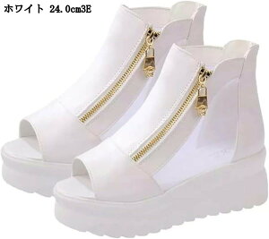 I[vgD u[cT_ fB[X ₷ T_  r VA[u[c y ėp V[Y 