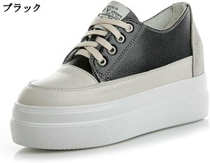 fB[X Xj[J[ Cq[ U[ h  [Jbg NbV ~ r 8cm gAbv ₷ vbgtH[ RtH[g {v [XAbv