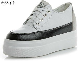 fB[X Xj[J[ Cq[ U[ h  [Jbg NbV ~ r 8cm gAbv ₷ vbgtH[ RtH[g {v [XAbv