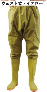 qbvEF[_[ EGXg ߉\ Y fB[X PVC ƒ ނp kނ tBbVO AEghA y h Sh ϖ OCu[c