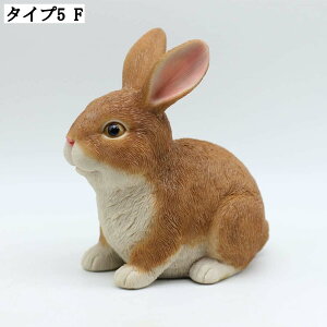  IuWF AeB[N A K[f ֏  ̒u Op ObY CeAG  K[fjOG fR[V L[g { 