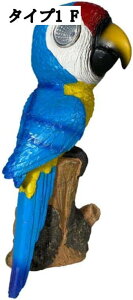 \[[[dK[fCg ̒ W K[fI[ig ZT[Cg AeB[N { IuWF CeA K[fjOu ZT[t 