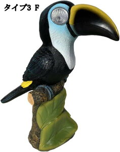 \[[[dK[fCg ̒ W K[fI[ig ZT[Cg AeB[N { IuWF CeA K[fjOu ZT[t 